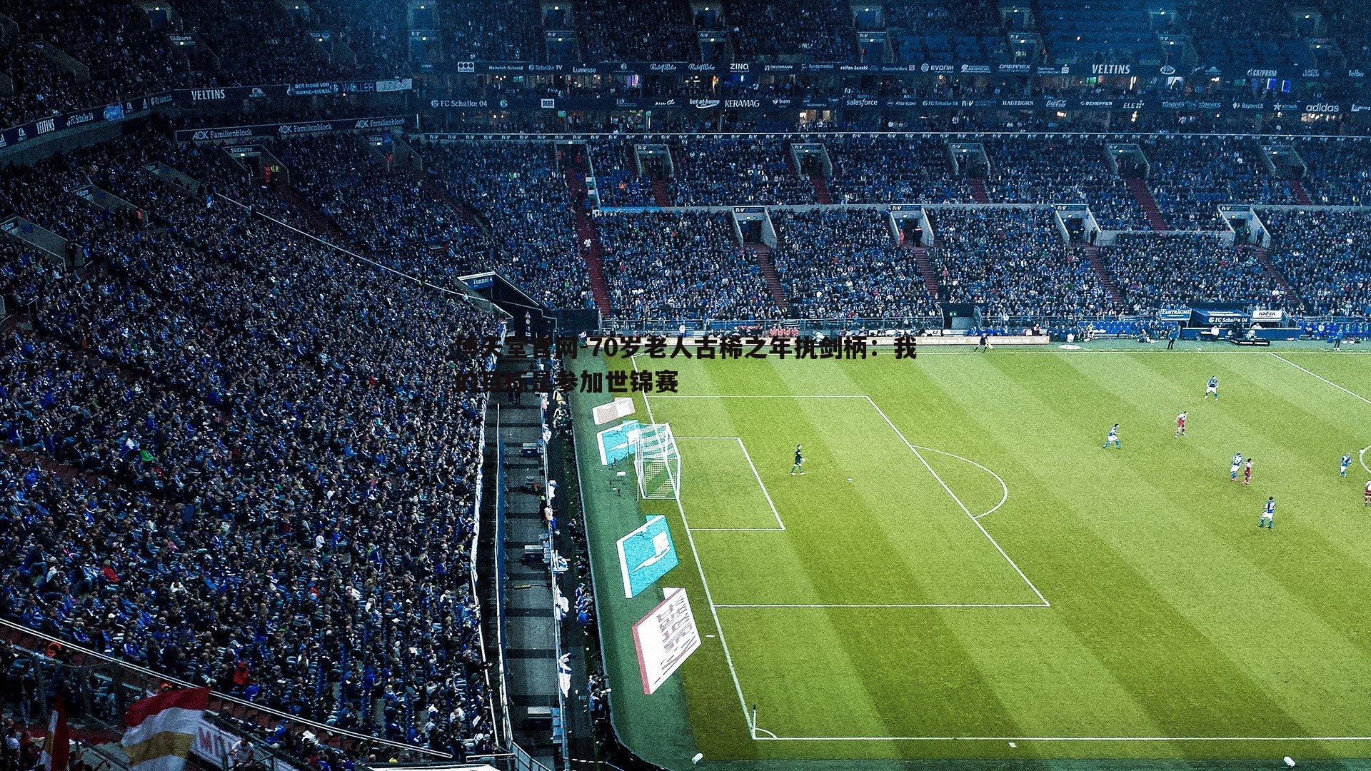 70岁老人古稀之年执剑柄：我的目标是参加世锦赛